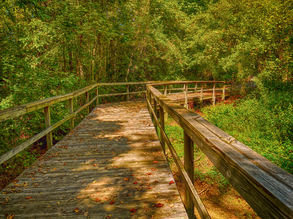 Creative Commons licensed image posted at Flickr by David Bannister